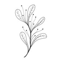 Floral nature botanical element vector