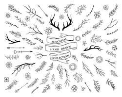 Hand drawn vintage vector design elements.