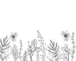 Black silhouettes of grass, flowers and herbs isolated on white background. vector