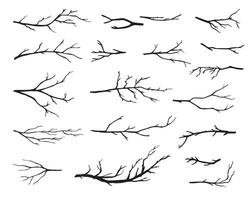 Hand drawn tree branches collection, dry tree branches on white background vector