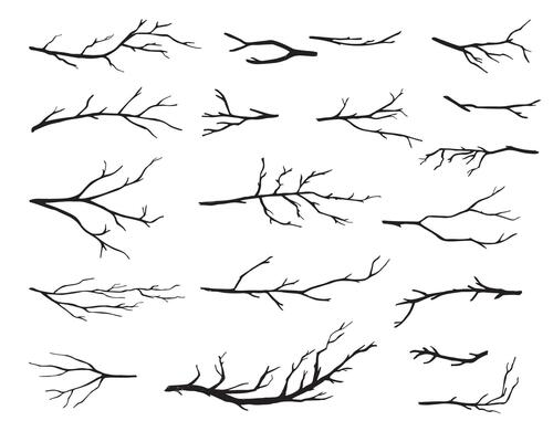 Hand drawn tree branches collection, dry tree branches on white background