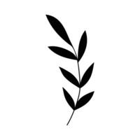 black silhouette of a plant, isolated on a white background vector