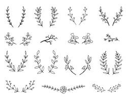 Vintage set of hand drawn tree branches with leaves and flowers on white background vector