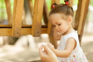 Little girl in the contact zoo photo