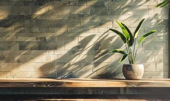 AI generated minimalistic interior of room with a brick wall and a plant photo