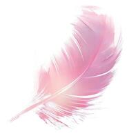 AI generated A soft pastel pink feather on white background photo