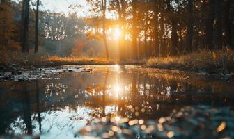 AI generated Beautiful sunset in the forest. Reflection of trees in the water. photo