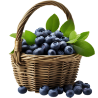 ai generiert ein Korb von Blaubeeren mit ein wenige Blaubeeren auf das Seite png