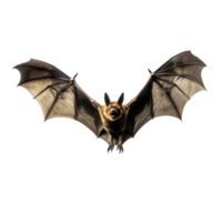 AI generated Full body flying bat png