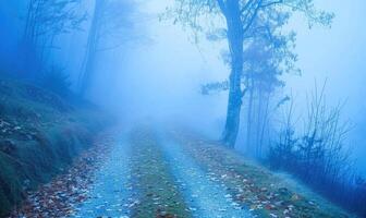 AI generated Foggy morning in the autumn forest. Road in the fog. photo