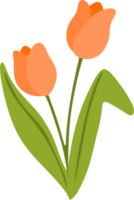 spring season element png