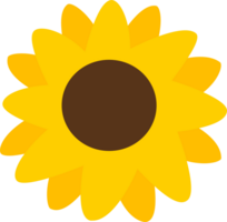 Soleil fleur dans le jardin png