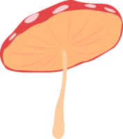 cute mushroom in the forest png