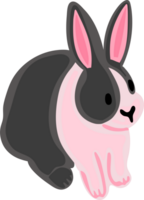 lapin de dessin animé mignon png