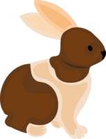 lindo conejo de dibujos animados png