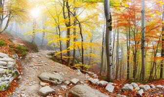 AI generated Autumn forest in the mountains. Beautiful landscape with autumn forest. photo