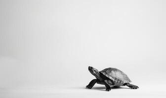 ai generado Tortuga en un blanco fondo, espacio para texto, monocromo imagen, minimalismo concepto. foto