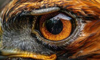 ai generado de cerca de águila ojo. macro de de halcón ojo. foto