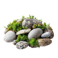 AI generated Assorted speckled eggs nestled in moss and stones, symbolizing spring or Easter, isolated on a transparent background png