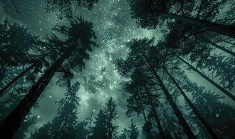 AI generated Mysterious dark forest with stars in the sky. Night forest with full moon and stars in the sky. photo