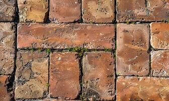 AI generated Old brick walkway with green grass. Abstract background and texture for design. photo