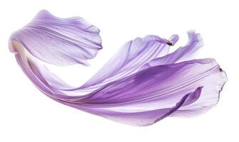 AI generated Brush stroke resembling a lily petal, in serene lavender color on white background photo