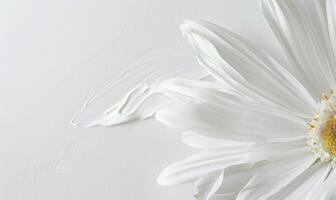 AI generated White paint brush stroke and white daisy flower on while background. photo