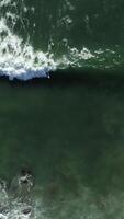 vertikal video av strand vågor topp se