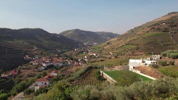 hermosa naturaleza desde douro Valle región en Portugal aéreo ver video