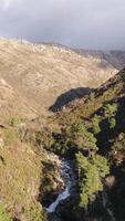 Vertikale Video von Fluss Schlucht Antenne Aussicht