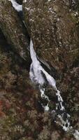 vertical vídeo do cascata dentro a montanhas aéreo Visão video