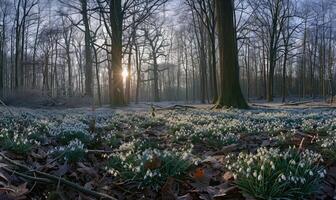 ai generado campanillas en un bosque claro, primavera naturaleza antecedentes foto