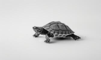 ai generado Tortuga en un blanco fondo, espacio para texto, monocromo imagen, minimalismo concepto. foto