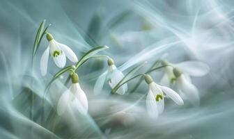 AI generated Snowdrops swaying in the breeze, close up view, soft focus, blurred background photo