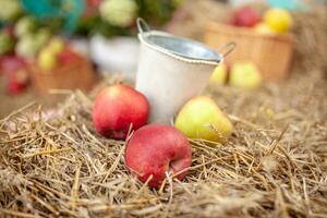 Fresh harvest of apples. Nature theme with red grapes and basket on straw background. Nature fruit concept. photo