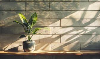 AI generated minimalistic interior of room with a brick wall and a plant photo