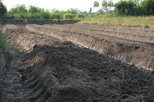 Humus or top soil that is loose and ready for farmers to plant photo