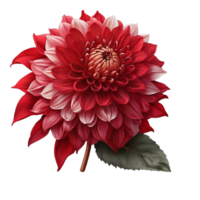 AI generated Beautiful Flower Bouquet png