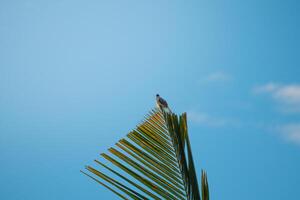 The Highest Point photo