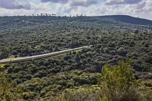 pacífico verde colinas y nublado azul cielo paisaje con vibrante colores foto