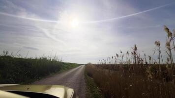 conducción en un Valle en soleado día video