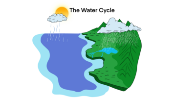 il acqua ciclo diagramma, rappresentazione di il acqua ciclo nel natura, acqua processi su terra, idrologico ciclo, biogeochimico ciclo per formazione scolastica, geo scienza ecosistema schema png