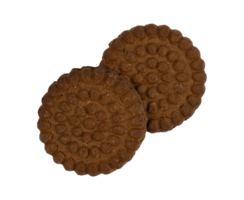 two chocolate cookies isolated png