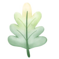 une rare quatre feuille trèfle, une symbole de chance, avec ses vibrant vert feuilles isolé png