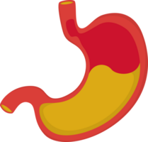 illustration stomach simple png