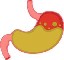 illustration stomach simple png