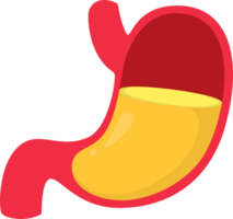 illustration stomach simple png