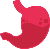 illustration stomach simple png