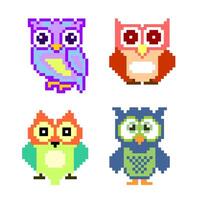 Owl bird pixel set vector isolated on white background. Pixelated cute owl vector.