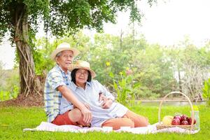 Senior Asian couples sit for picnics and relax in the park. They enjoy life after retirement. The concept of an elderly community. photo